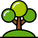 Arborist & Tree Services