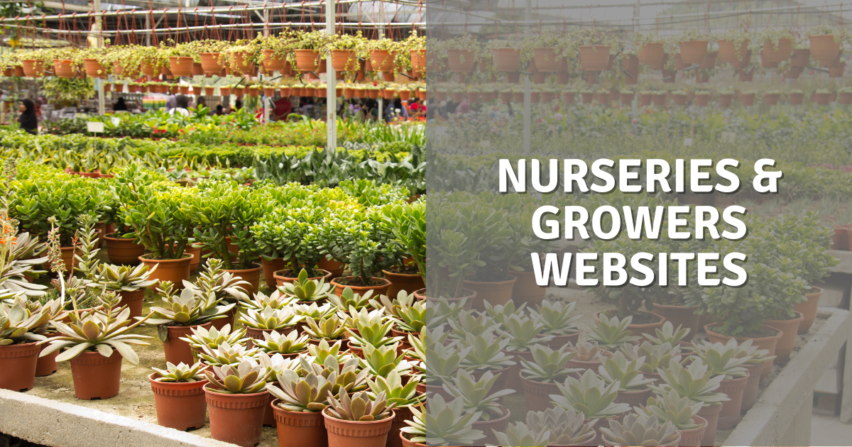 Nurseries & Growers Website Design
